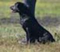 Payton training