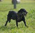 Payton training